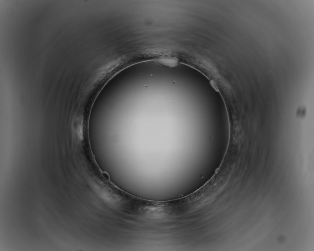 X0000100760068200806191217