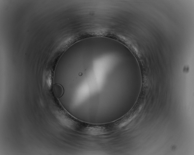 X0000100760069200806191217