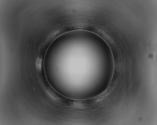 X0000100760070200806191217