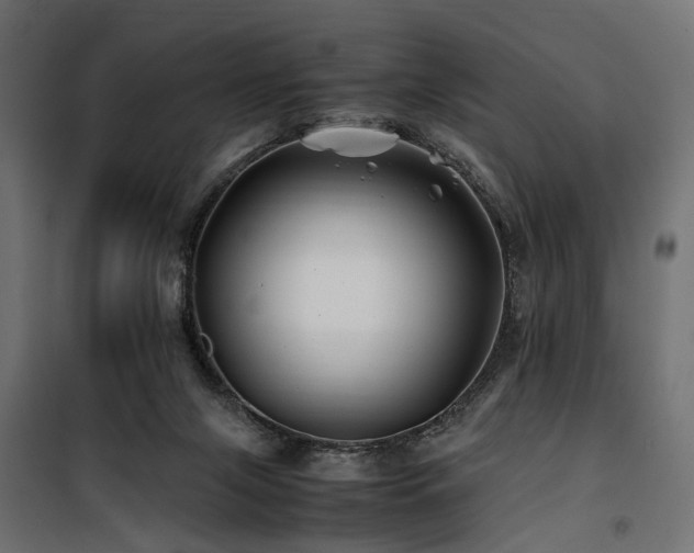 X0000100760071200806191217