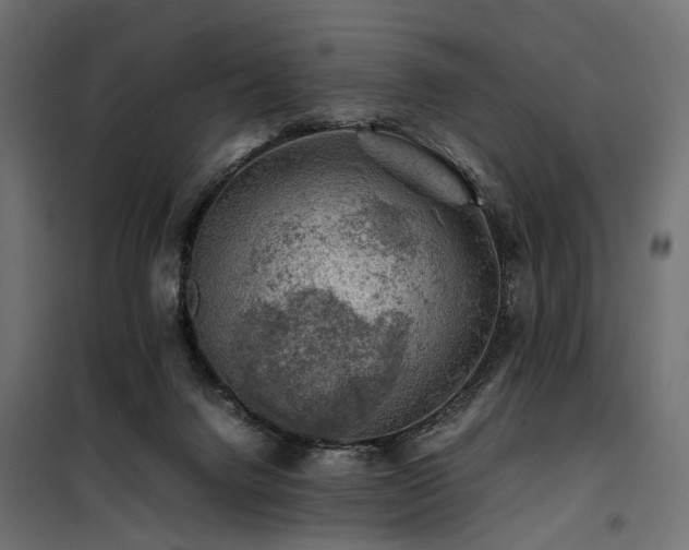 X0000100760072200806191217