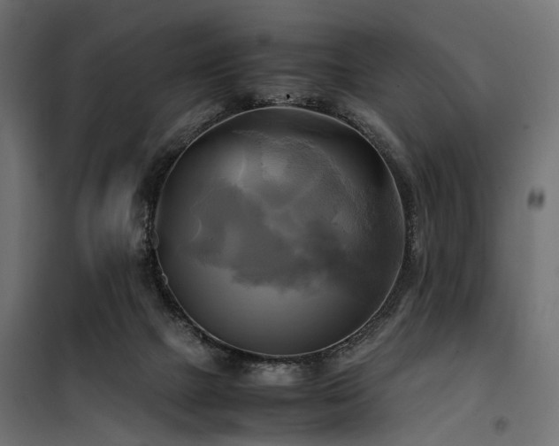 X0000100760073200806191217