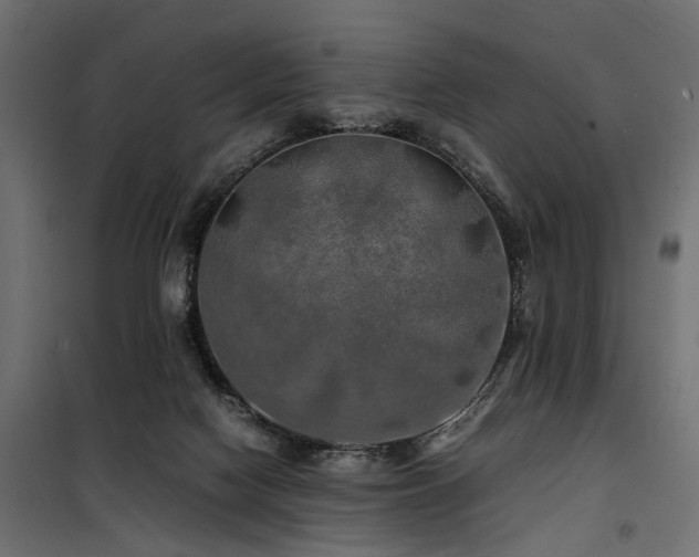 X0000100760074200806191217