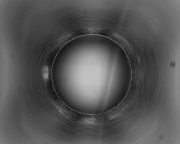 X0000100760075200806191217