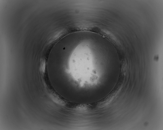 X0000100760076200806191217