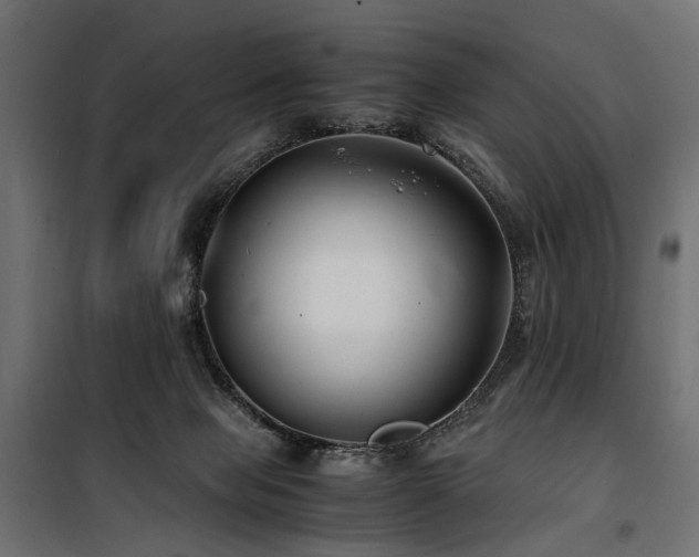 X0000100760077200806191217