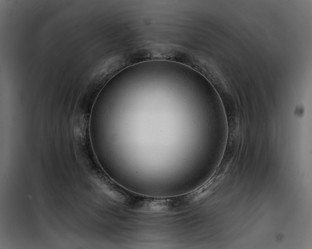 X0000100760078200806191217