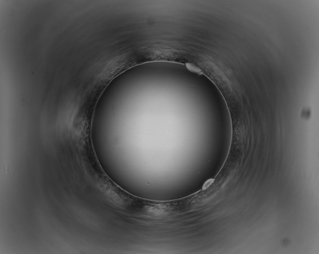 X0000100760079200806191217