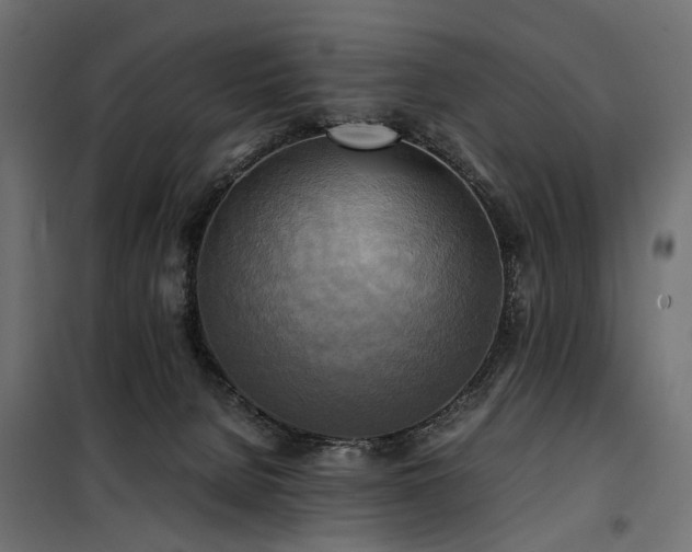 X0000100760080200806191217