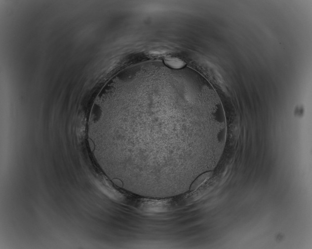 X0000100760081200806191217