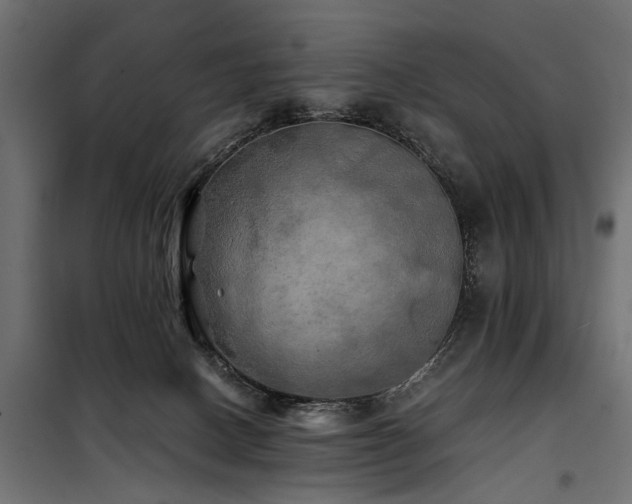 X0000100760082200806191217