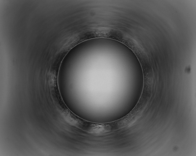 X0000100760083200806191217