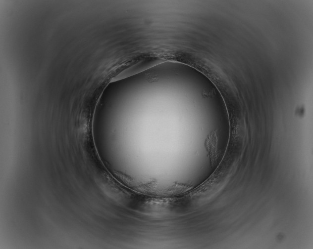 X0000100760084200806191217