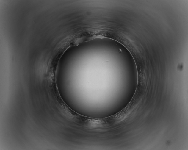 X0000100760085200806191217