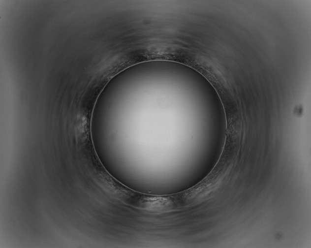 X0000100760087200806191218