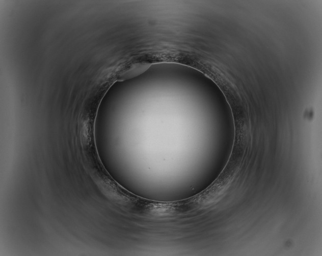 X0000100760088200806191218