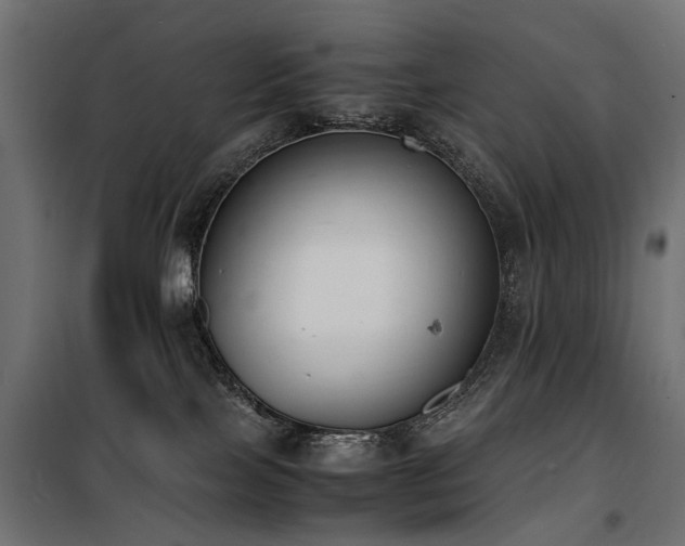 X0000100760089200806191218