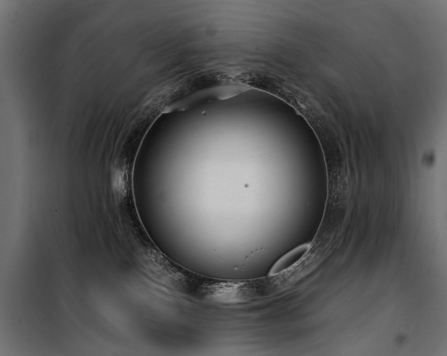 X0000100760090200806191218