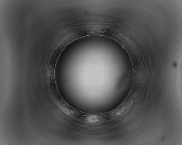 X0000100760091200806191218