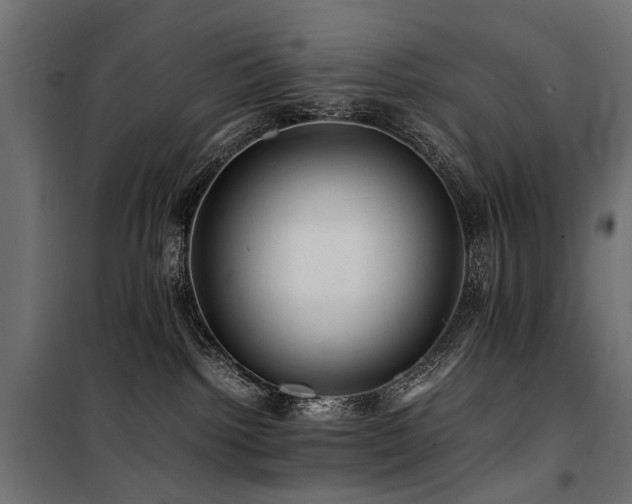 X0000100760092200806191218