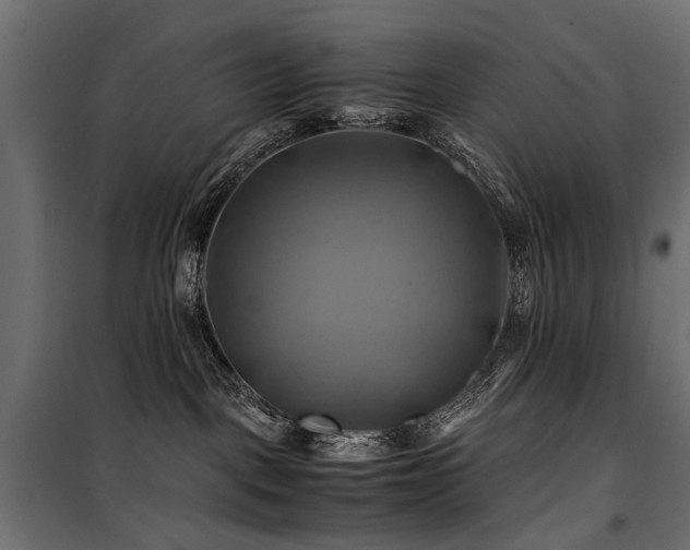 X0000100760093200806191218