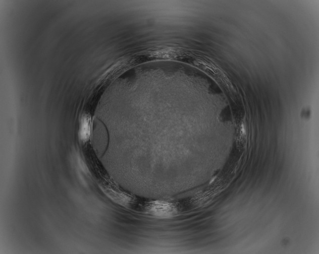 X0000100760095200806191218