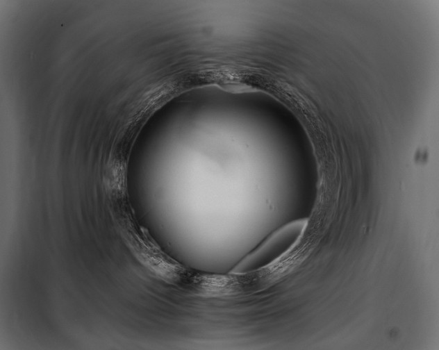 X0000100760096200806191218