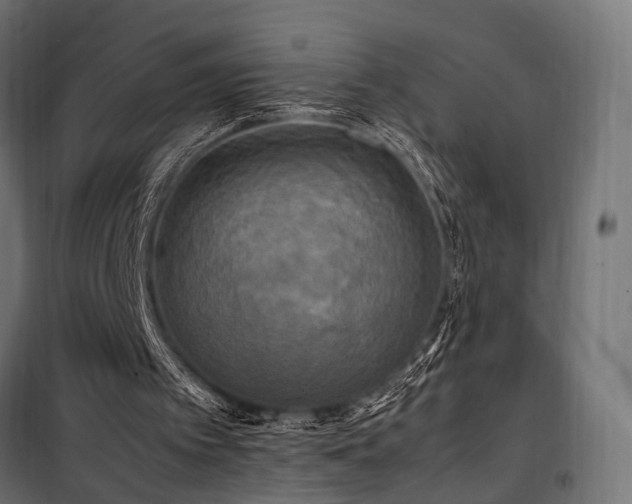 X0000100760097200806191217