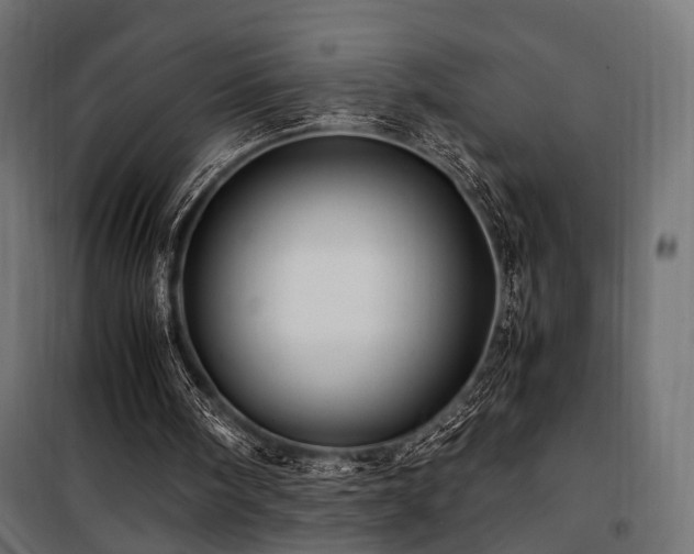 X0000100760098200806191217