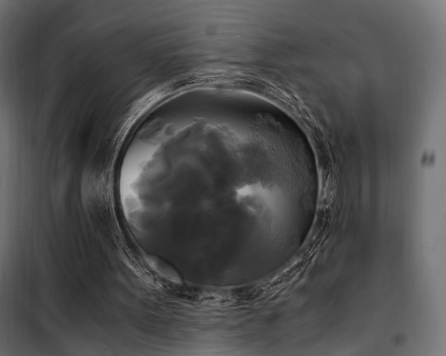 X0000100760099200806191217