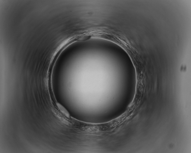 X0000100760100200806191217