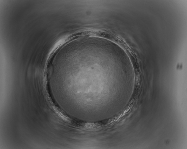 X0000100760101200806191217