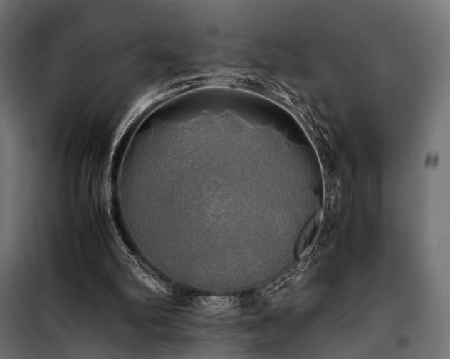 X0000100760102200806191217