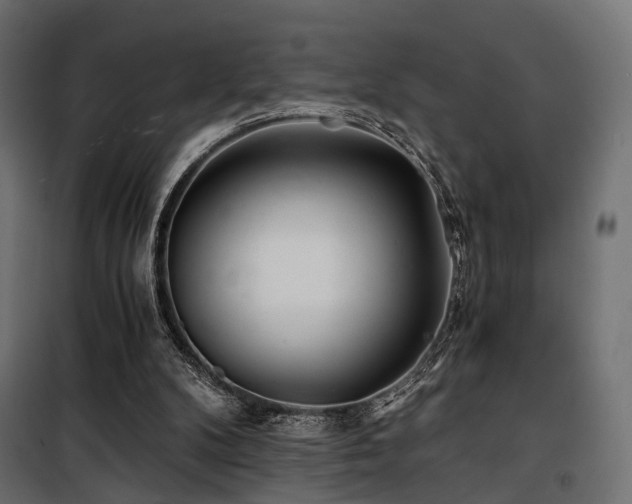 X0000100760104200806191217