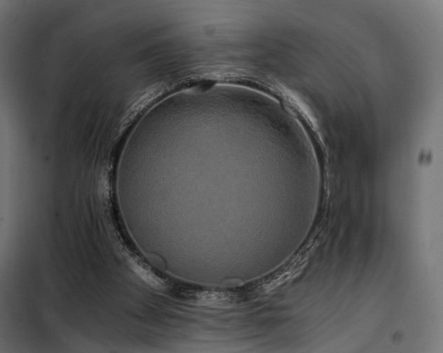 X0000100760105200806191217