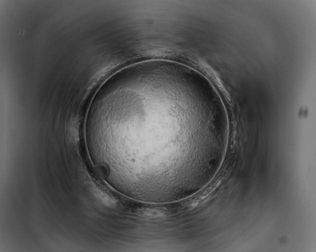 X0000100760106200806191217