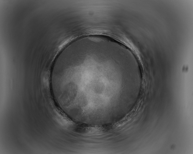 X0000100760107200806191217