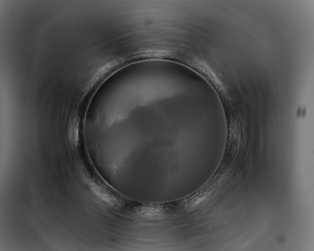 X0000100760110200806191217