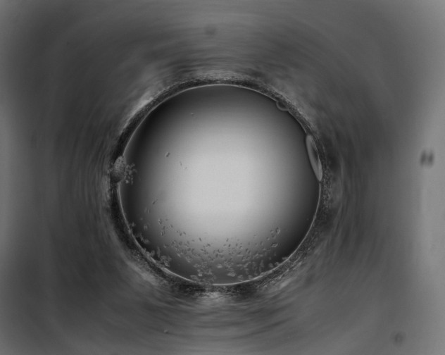 X0000100760111200806191217