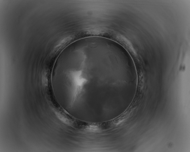 X0000100760114200806191217