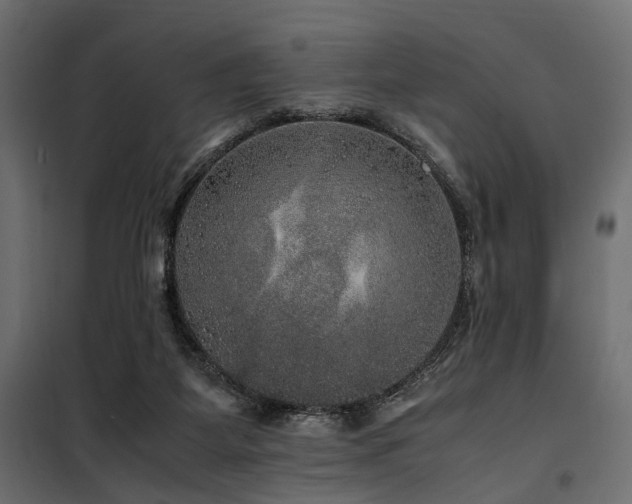 X0000100760115200806191217