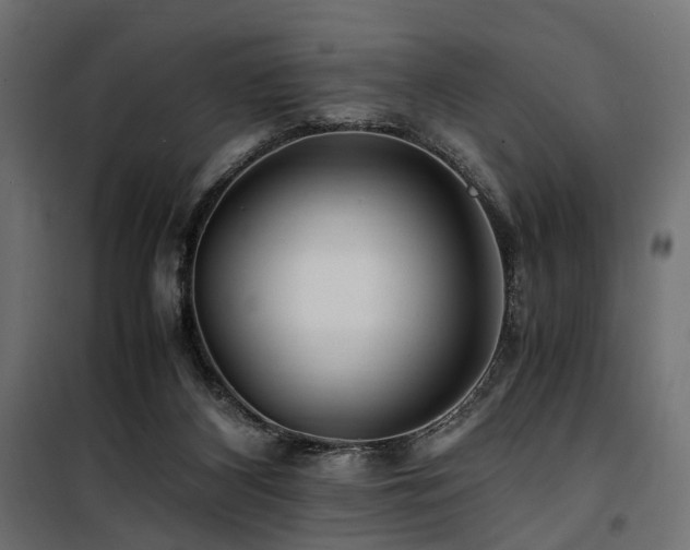 X0000100760116200806191217