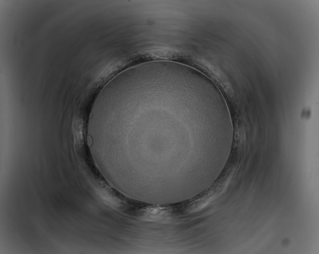 X0000100760117200806191217