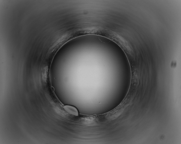 X0000100760118200806191217