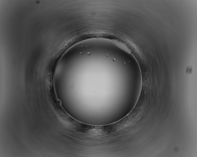 X0000100760119200806191217