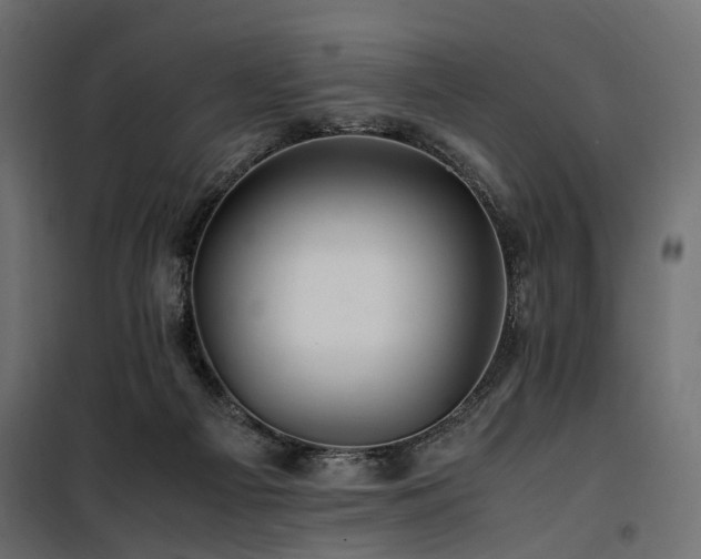 X0000100760121200806191217