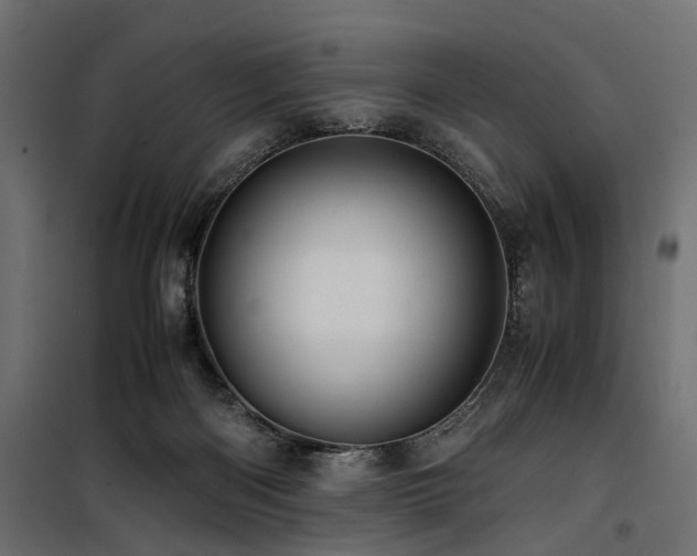 X0000100760122200806191217