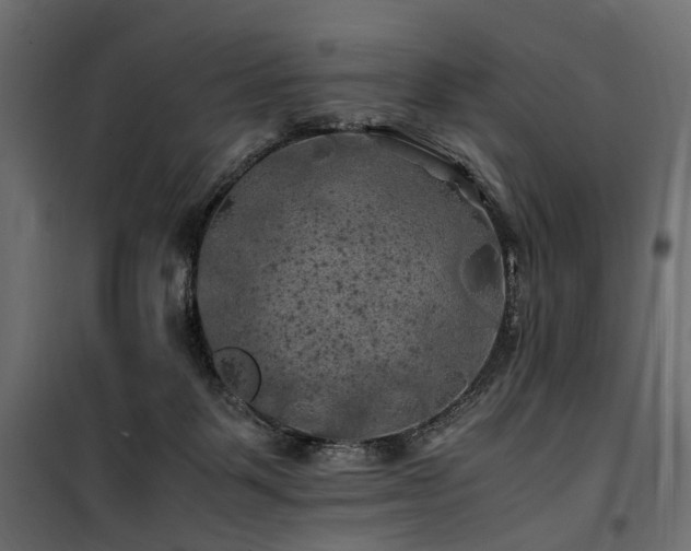 X0000100760123200806191217