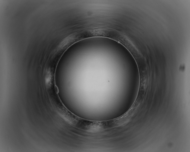 X0000100760124200806191217