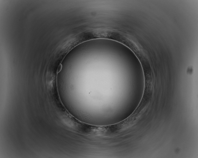 X0000100760125200806191217